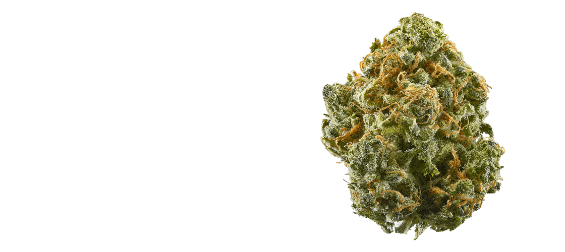 Featured: THCA Flower